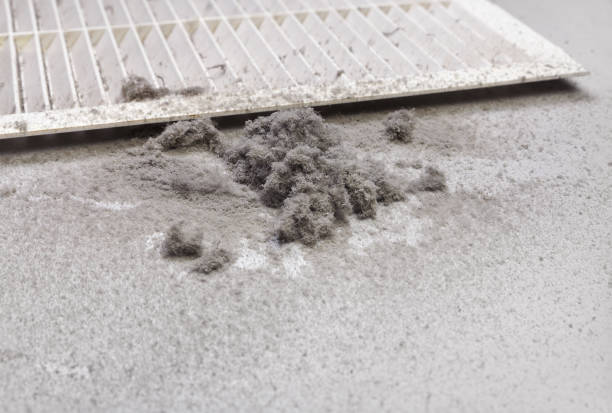 Best Ventilation Cleaning Services  in Essex Fells, NJ