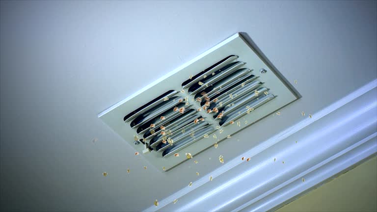Best Dryer Vent Cleaning Services  in Essex Fells, NJ