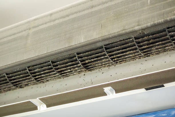 Best HVAC Air Duct Cleaning  in Essex Fells, NJ